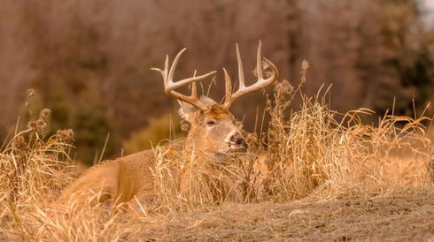 0649 - Mother Nature's Finest